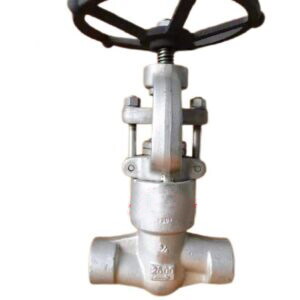 ASTM A182 F304 Globe Valve, 3/4 Inch, 2500 LB, 304 Trim, SW