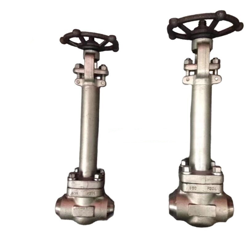 ASTM A182 F304 Globe Valve, Extension Stem, 2 Inch, 1500 LB
