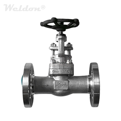ASTM A182 F304H Globe Valve, 1 Inch, 300 LB, OS & Y, Rising Stem