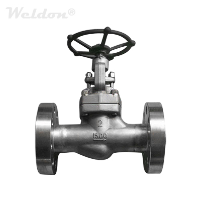 ASTM A182 F316 Globe Valve, 2 Inch, 1500 LB, BB, Integral Flanged