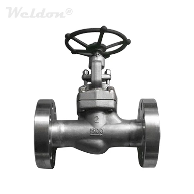 ASTM A182 F316 Globe Valve, 2 Inch, 1500 LB, BB, Integral Flanged ...