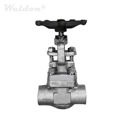 Bolted Bonnet Forged Globe Valve, A182 F304, 1 Inch, 800 LB, SW