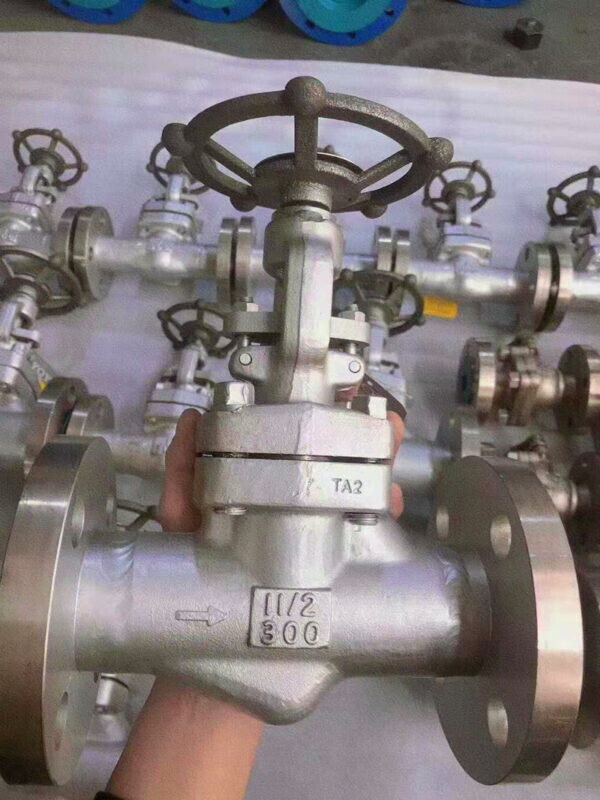 Bolted Bonnet Globe Valve, Titanium Alloy TA2, 1-1/2 IN, 300 LB