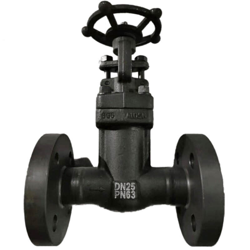DIN 3356 Bellows Sealed Globe Valve, ASTM A105N, DN25, PN63