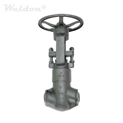 Pressure Sealed Bonnet (PSB) Globe Valve A105N, 2 Inch, 1500 LB, BW