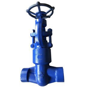 PSB Globe Valve, ASTM A182 F22, API 602, 3/4 IN, 2500 LB, SW
