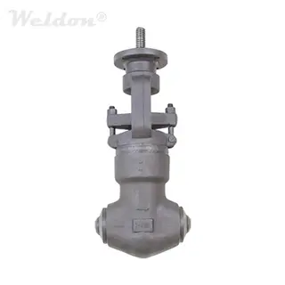 Class 4500 Globe Valve, PSB, ASTM A105N, 2 Inch, OSY, Rising Stem