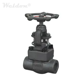 ASTM A105N Forged Globe Valve, OSY, Rising Stem, 1 Inch, 800LB, NPT