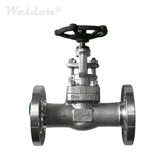 ASTM A182 F304H Globe Valve, 1 Inch, 300 LB, OS & Y, Rising Stem