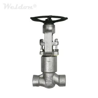 A182 F316H Globe Valve, PSB, Rising Stem, 3/4 Inch, 2500 LB, SW