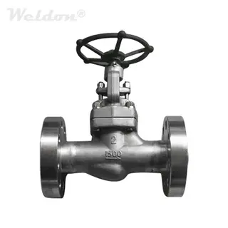 ASTM A182 F316 Globe Valve, 2 Inch, 1500 LB, BB, Integral Flanged