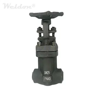 Sealed Bellows Globe Valve, BS 5352, A105N, DN25, PN40, Flanged