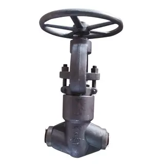 ASTM A105N Globe Valve, API 602, 2 Inch, Class 2500 LB, BW