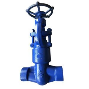 PSB Globe Valve, ASTM A182 F22, API 602, 3/4 IN, 2500 LB, SW