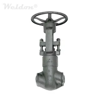 Pressure Sealed Bonnet (PSB) Globe Valve A105N, 2 Inch, 1500 LB, BW