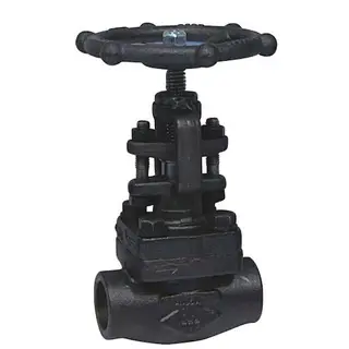 API 602 Globe Valve, ASTM A350 LF6 CL.2, 2 Inch, 4500 LB, SW