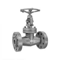 BS 5352 Bolted Bonnet Globe Valve, ASTM A105N, 2 IN, 900 LB