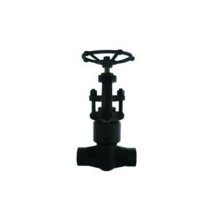 ASTM A350 LF2 Globe Valve, API 602, 1/2-2 Inch, 2500 LB, BW