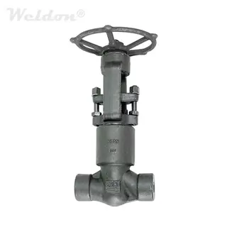 BS 5352 Globe Valve, PSB, OSY, ASTM A105N, 3/4 Inch, 2500 LB, SW