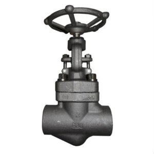Rising Stem Globe Valve, ASTM A105N, API 602, 2 Inch, 800 LB