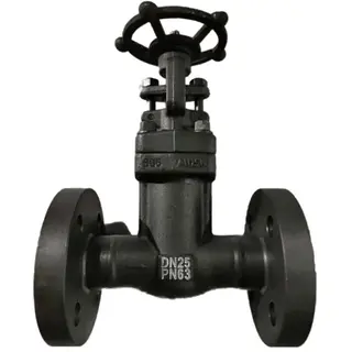 DIN 3356 Bellows Sealed Globe Valve, ASTM A105N, DN25, PN63