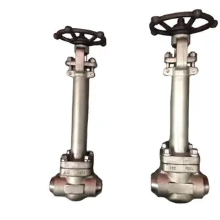 ASTM A182 F304 Globe Valve, Extension Stem, 2 Inch, 1500 LB