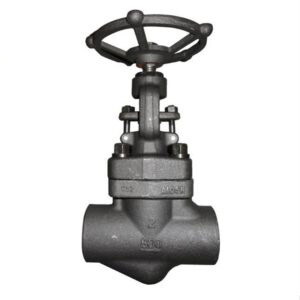 Rising Stem Globe Valve, ASTM A105N, API 602, 2 Inch, 800 LB