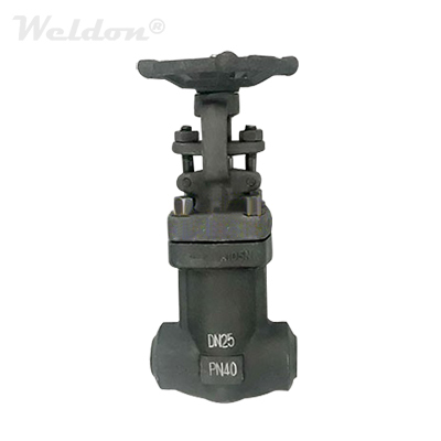 Sealed Bellows Globe Valve, BS 5352, A105N, DN25, PN40, Flanged