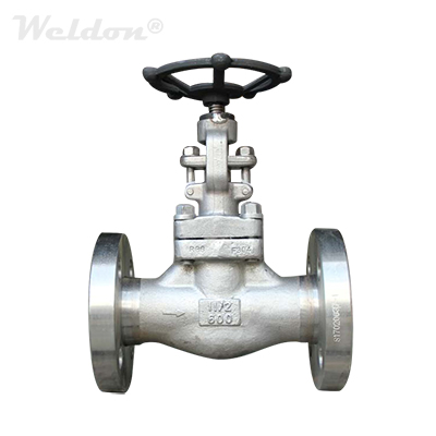 Y Type Globe Valve, PSB, A182 F304, API 602, 1 1/2 Inch, 600 LB, RF