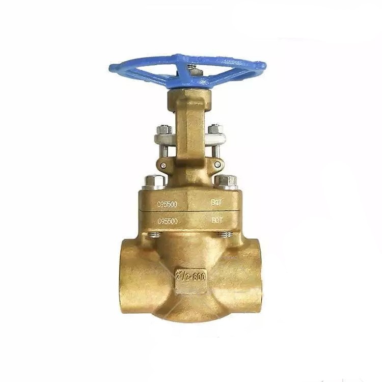 Al-bronze Gate Valve, ASTM B148 C95500, 2-1/2 Inch, 800 LB