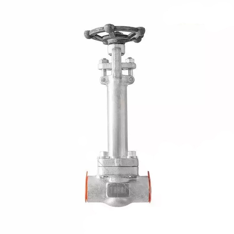 API 602 Cryogenic Gate Valve, ASTM A182 F316, 3/4 IN, 800 LB