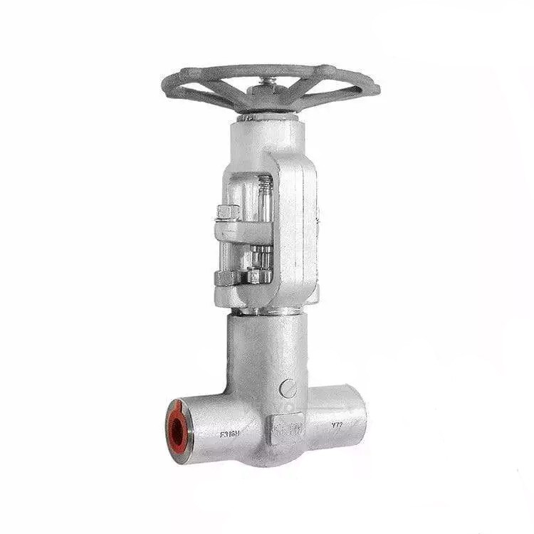 API 602 Gate Valve, ASTM A182 F316H, 3/4 Inch, 2500 LB, SW