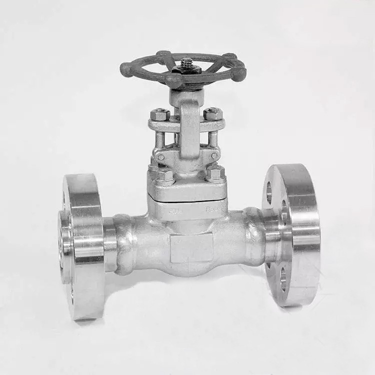 API 602 Gate Valve, ASTM A182 F321, 1 Inch, Class 1500 LB