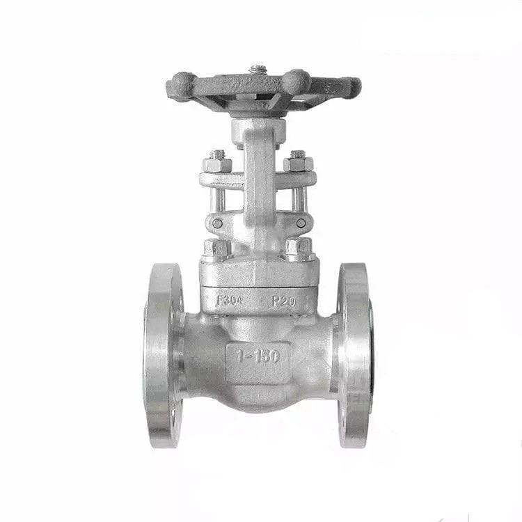 API 602 Monolithic Gate Valve, ASTM A182 F304, 1 IN, 150 LB