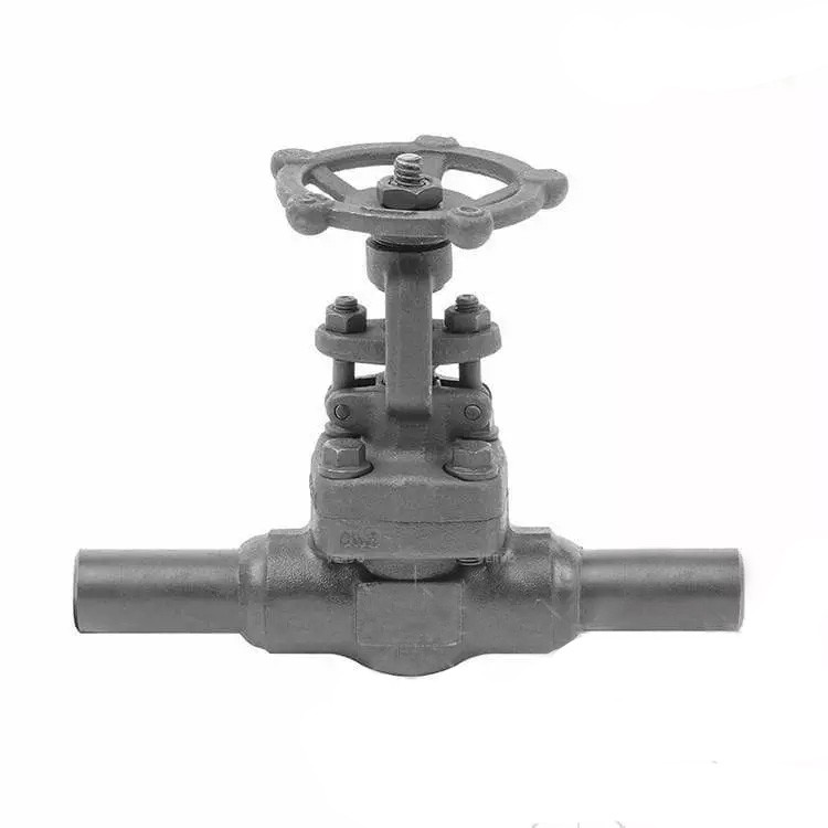 ASTM A105N Extend Body Gate Valve, API 602, 3/4 Inch, 800 LB