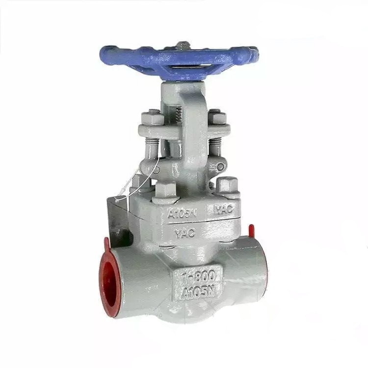 ASTM A105N Gate Valve, Pressure Seal Bonnet, 1 Inch, 800 LB