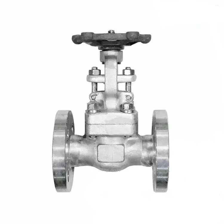 ASTM A182 F304 Gate Valve, BS 5352, 1/2 Inch, 1500 LB, RF