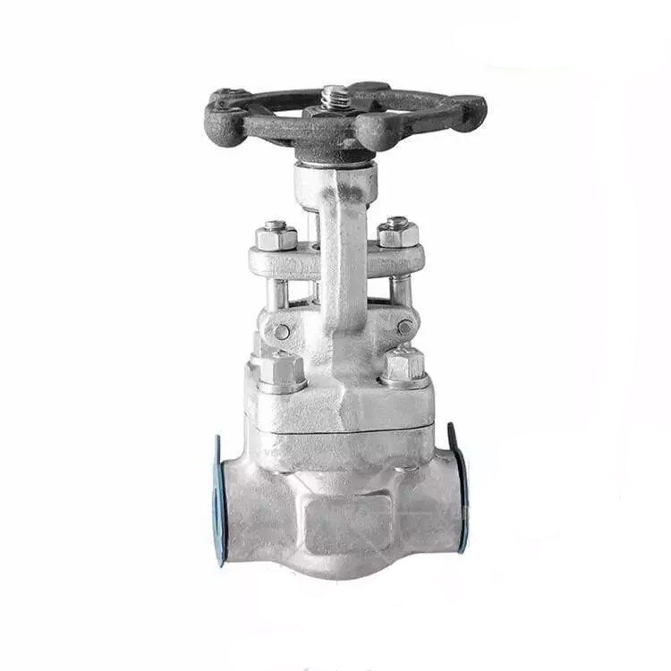 ASTM A182 F304 Gate Valve, BS 5352, 1/2 Inch, 1500 LB, RF - Weldon