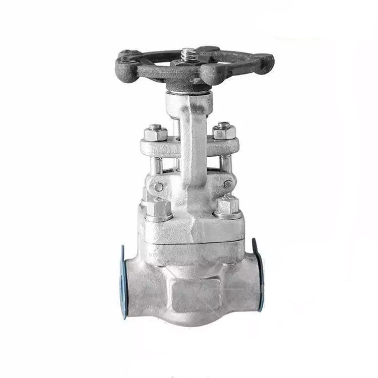 ASTM A182 F304 Gate Valve, Metal Seated, DN15, PN25, SW End