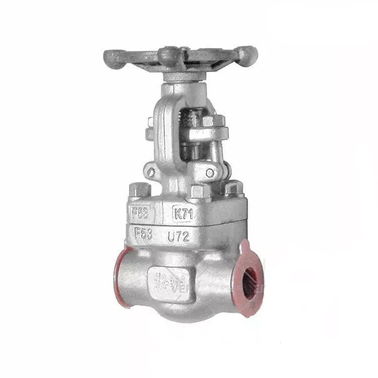 ASTM A182 F53 Gate Valve, API 602, 1/2 Inch, 800 LB, SW End