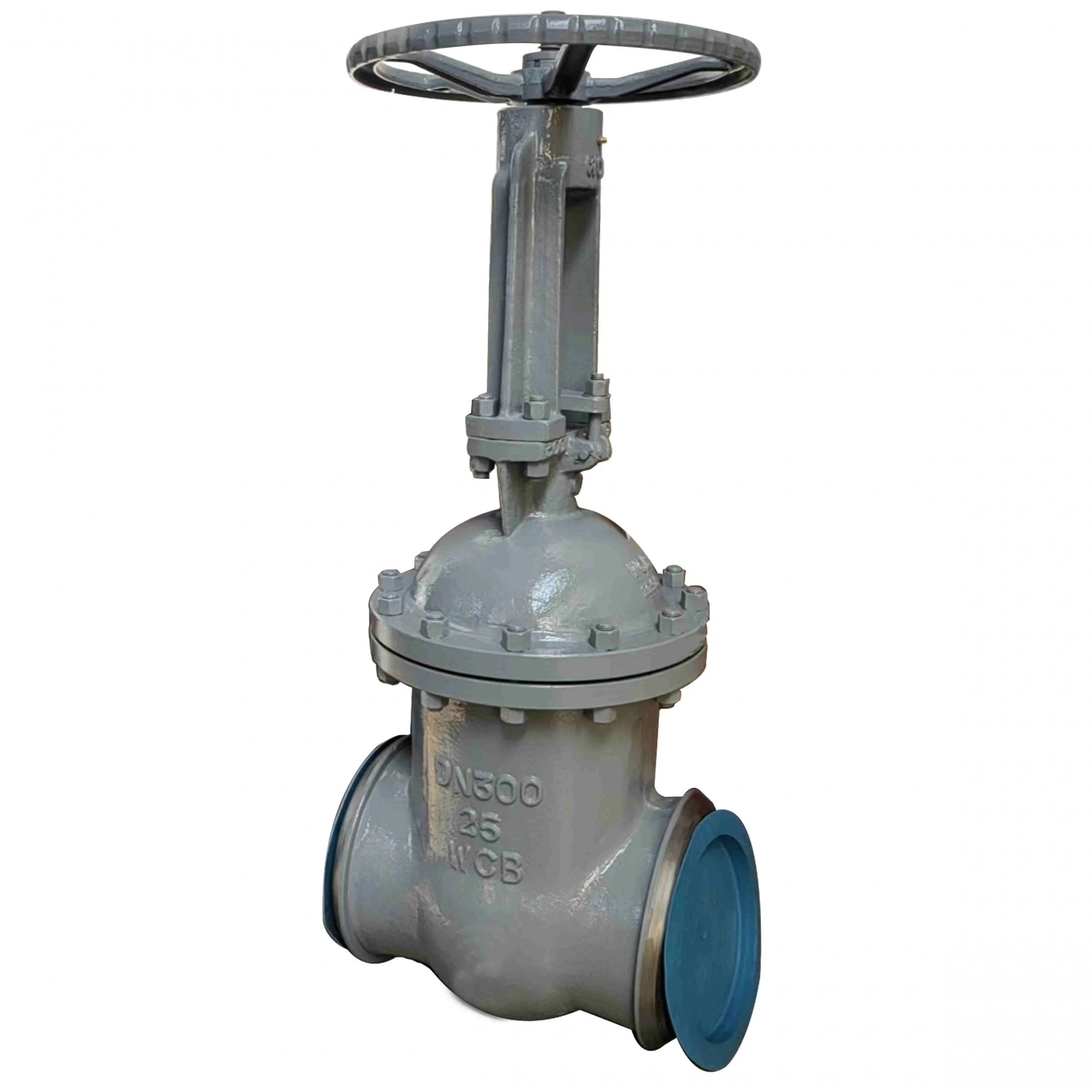 ASTM A216 WCB Gate Valve, Double Wedge, DN300, PN25, RF End