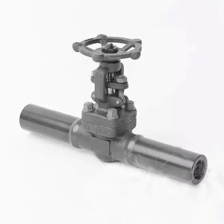 ASTM A350 LF2 Gate Valve, Extended Tube, 1 Inch, 800 LB, FNPT