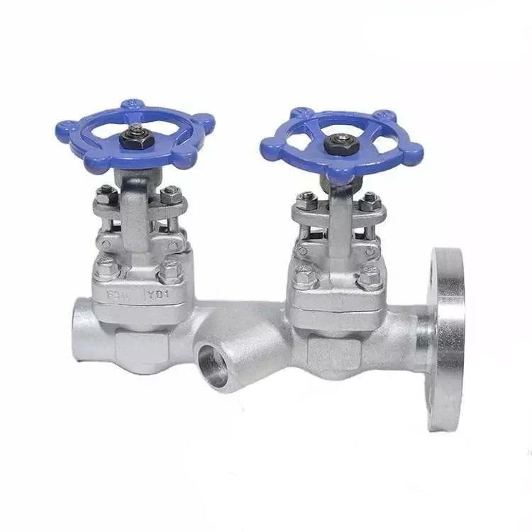 BS 5352 Double Gate Valve, ASTM A182 F316, 3 Inch, 300 LB