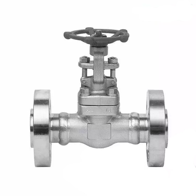 BS 5352 Gate Valve, ASTM A182 F316, 2 Inch, 1500 LB, RTJ End