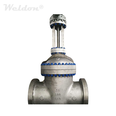 CF8 Gate Valve, 32 Inch, 600 LB, ASME B16.34, BB, RF