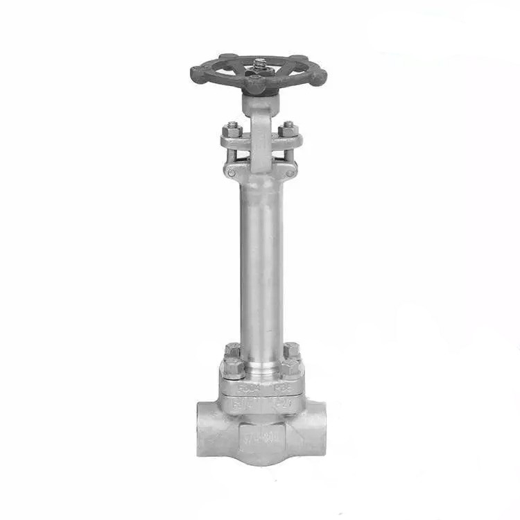 Cryogenic Gate Valve, ASTM A182 F304, PSB, 3/4 Inch, 300 LB