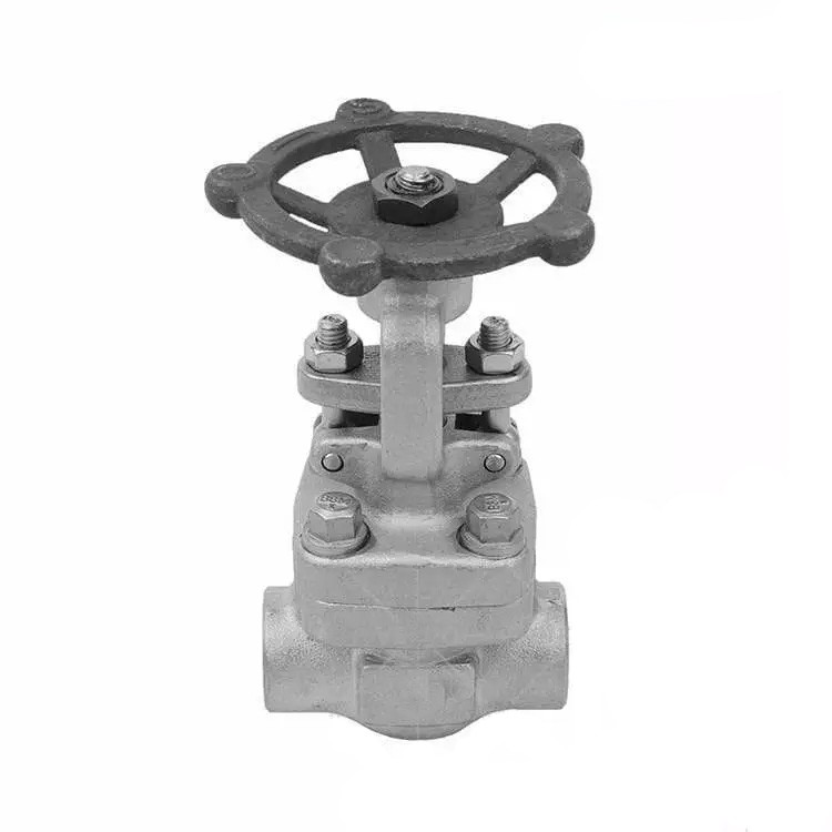 ISO 15761 Gate Valve, ASTM A182 F304, 316L, 1/2 Inch, 800 LB