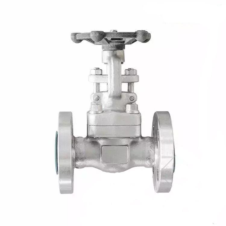 ISO 15761 Gate Valve, ASTM A182 F53, DN15, PN25, RF End