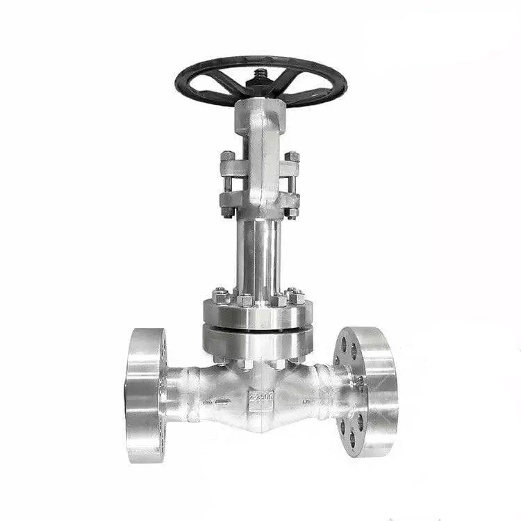 Low Temperature Gate Valve, ASTM A182 F316L, 2 Inch, 2500 LB