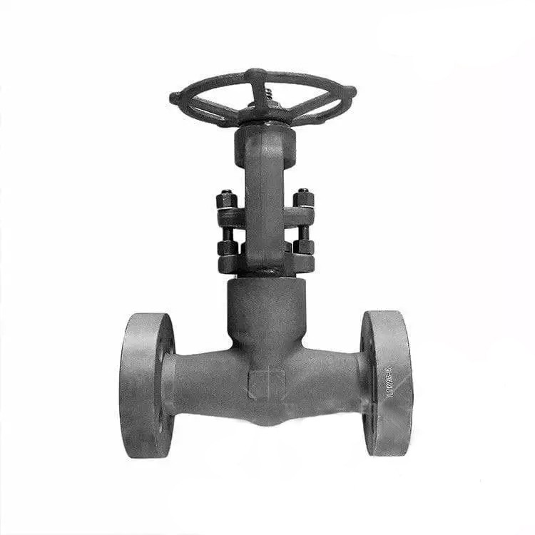 Pressure Seal Bonnet Gate Valve, ASTM A105N, 1 Inch, 2500 LB